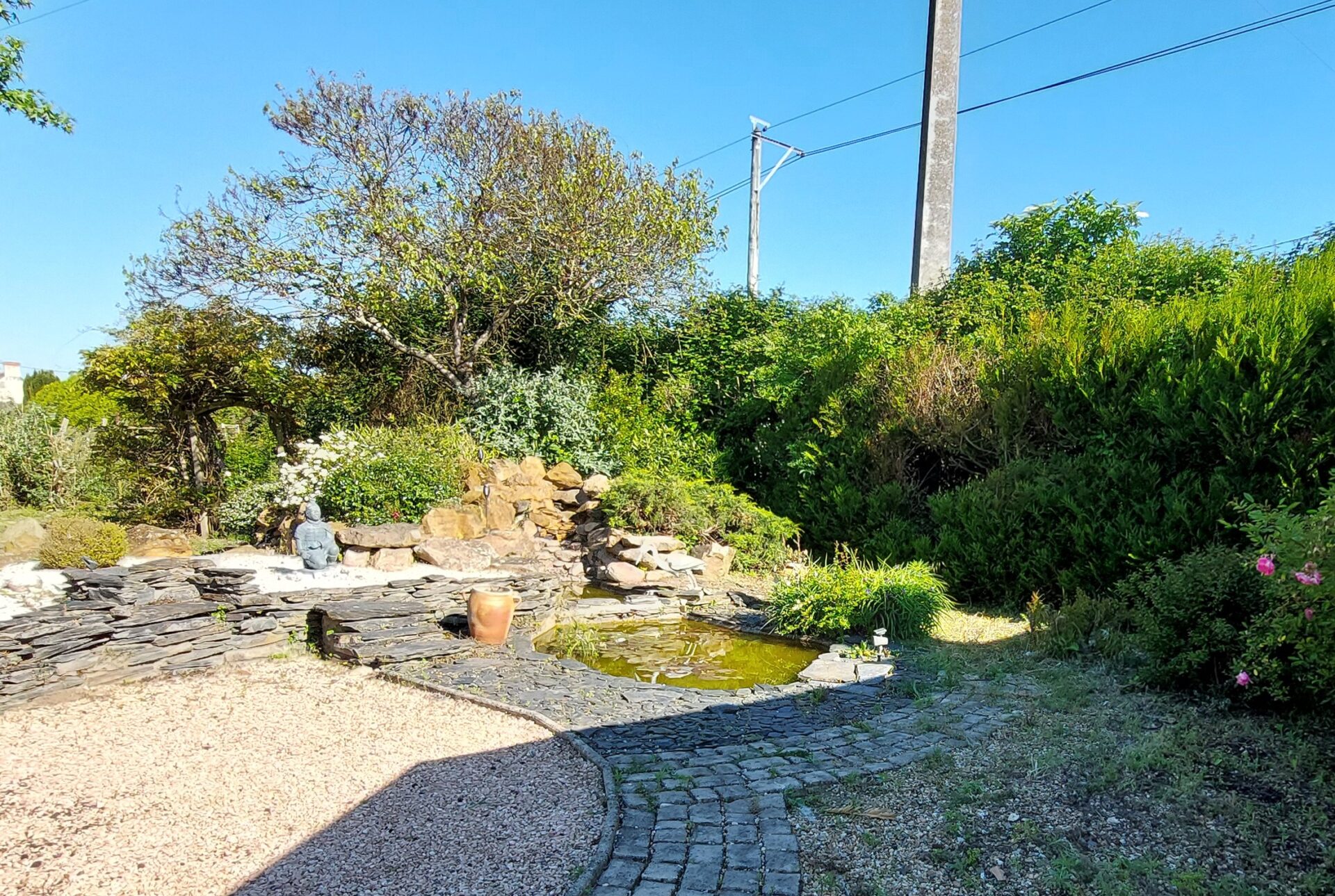 Before image
