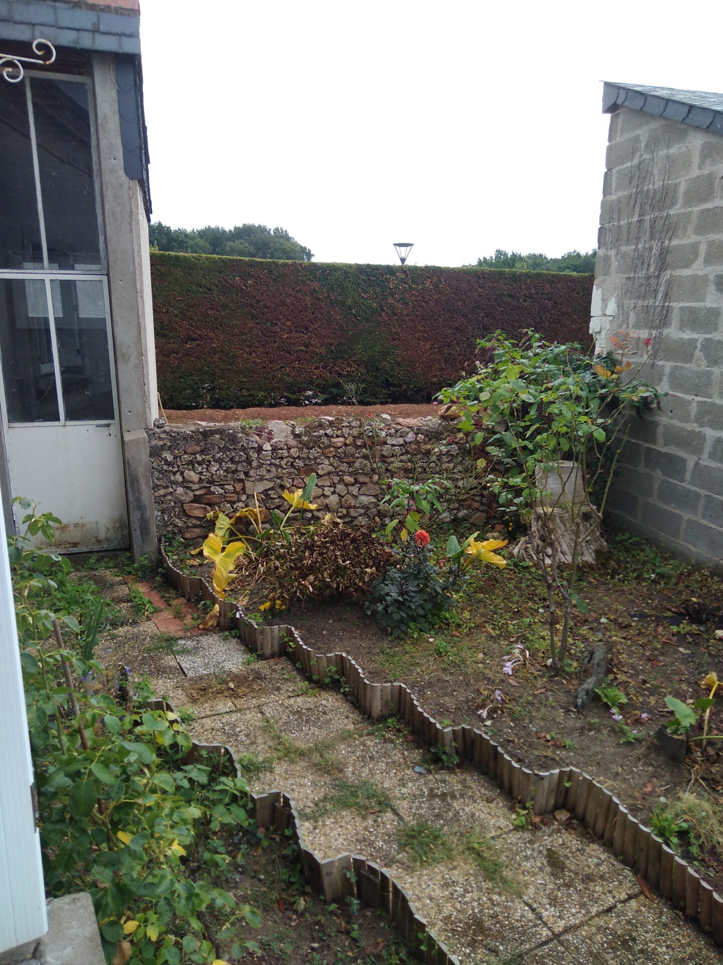 Before image