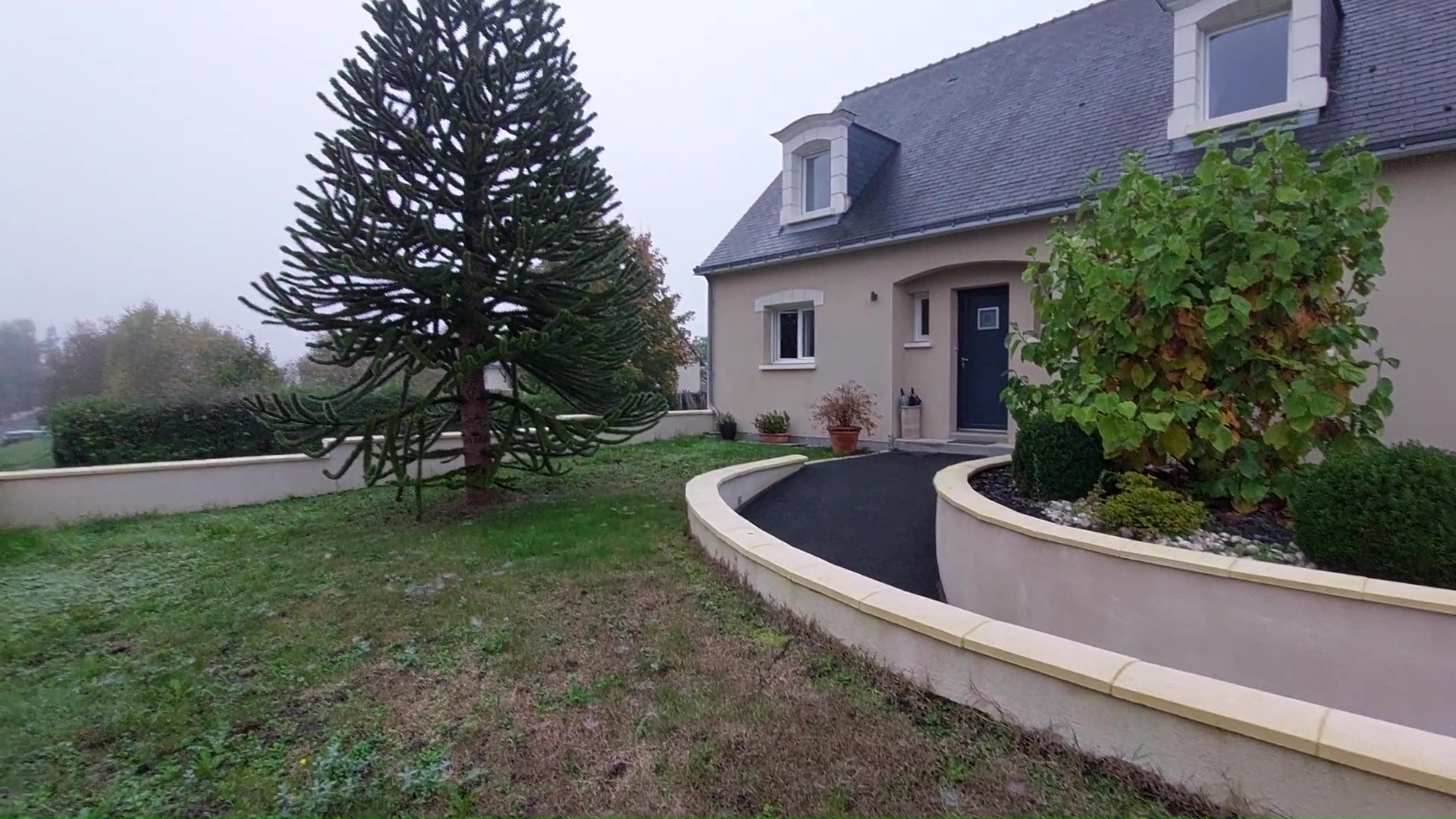Before image